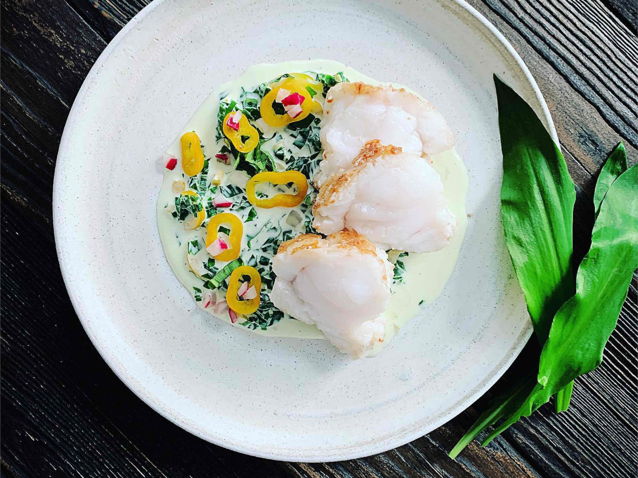 Monkfish on wild garlic cheese sauce